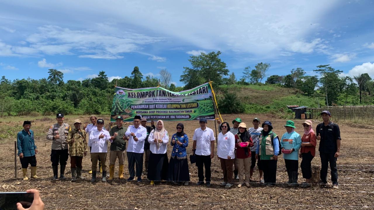 Penanaman Bibit Kedelai Kelompok Tani Lestari Desa Jembayan Tengah